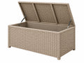 Cassapanca da esterno 120 x 50 x 60 cm in rattan sintetico beige con coperchio a sollevamento assistito